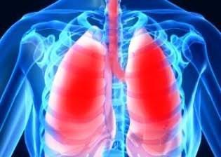 „Антисмоукинг Aй Енд Пи” ООД - град София | Други институции и услуги - снимка 4