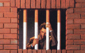 „Антисмоукинг Aй Енд Пи” ООД - град София | Други институции и услуги - снимка 6