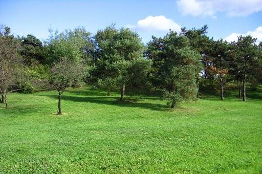 Извозва ово - град София | Транспорт - сухопътен