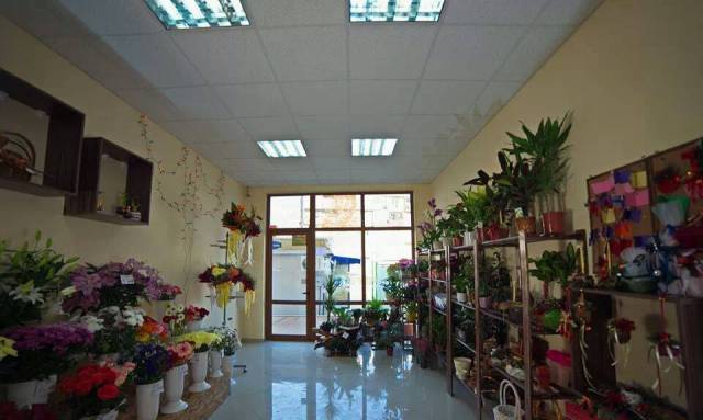 Цветарски магазин "ФЛОРА - city of Razgrad | Trade - снимка 1