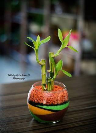 Цветарски магазин "ФЛОРА - city of Razgrad | Trade - снимка 2