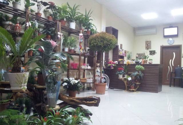 Цветарски магазин "ФЛОРА - city of Razgrad | Trade - снимка 3