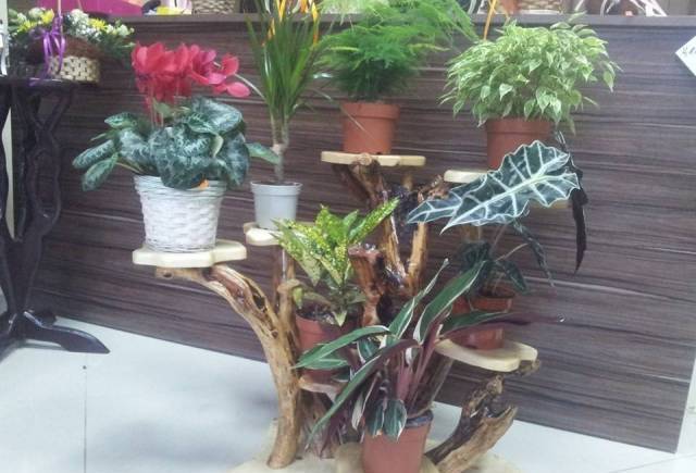 Цветарски магазин "ФЛОРА - city of Razgrad | Trade - снимка 5