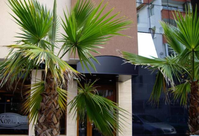 РИГ-ИвелинИванов - град Бургас | Строително-ремонтни услуги - снимка 2