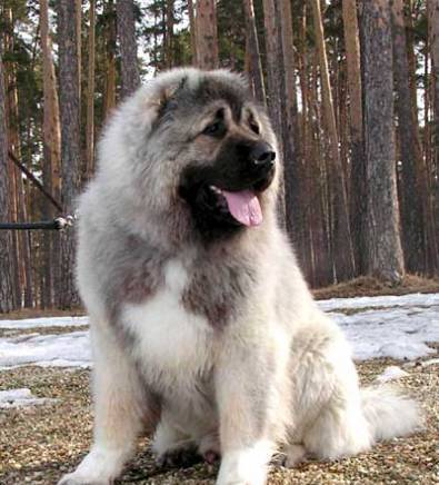 Албена Експрес - град София | Дейности - снимка 4