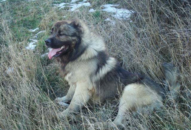 Албена Експрес - град София | Дейности - снимка 5