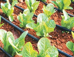 Европолимер ООД - град Драгоман | Оборудване, машини и инструменти - снимка 2