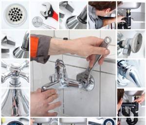 Ятрус Груп ЕООД - град София | Услуги - снимка 2