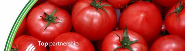 Top Greenhouses - град София | Оборудване, машини и инструменти - снимка 4