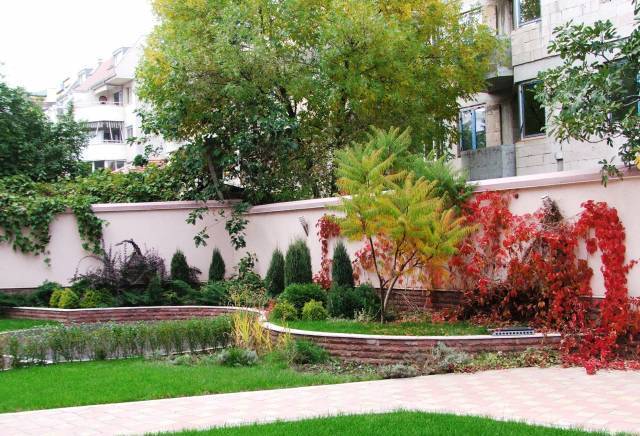 Сиринга ООД - град Пловдив | Ландшафт и озеленяване - снимка 4