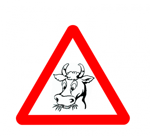 Бодигард ЕООД - град Пловдив | Онлайн магазини - снимка 1