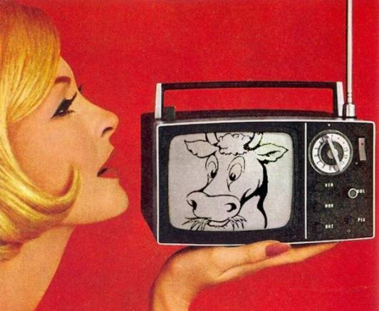 Бодигард ЕООД - град Пловдив | Онлайн магазини - снимка 2