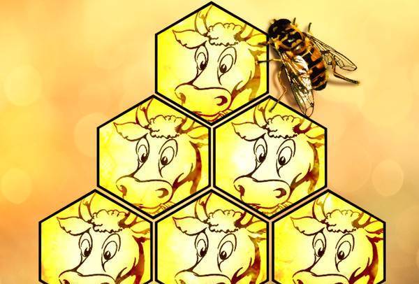 Бодигард ЕООД - град Пловдив | Онлайн магазини - снимка 5