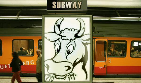 Бодигард ЕООД - град Пловдив | Онлайн магазини - снимка 6