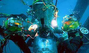 Alvesvil " Eood - град Нови Пазар | Дейности - снимка 2