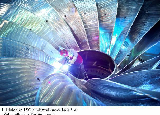 Alvesvil " Eood - град Нови Пазар | Дейности - снимка 4