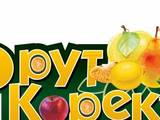 Фрут Корект ООД