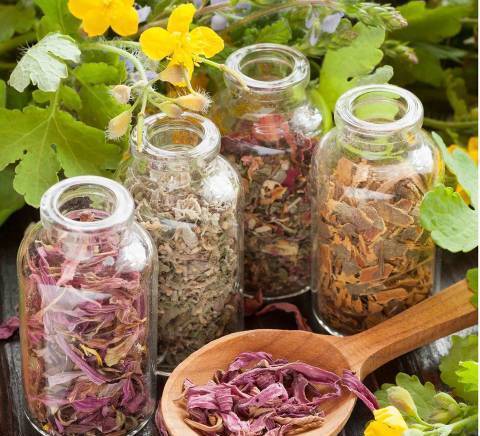 Натови2015" ЕООД - град София | Аптеки, дрогерии и лекарства - снимка 2