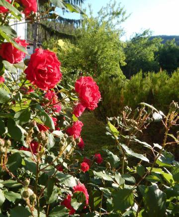 Дисми 56"оод - град Казанлък | Курортни селища и комплекси - снимка 6