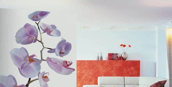 Clipso - к.к. Златни пясъци | Изолация, мазилки, тавани - снимка 3