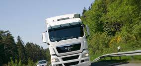 Ел и Ем Транс ООД - град София | Транспорт - международен - снимка 3