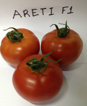 Хидрогроу България ООД - град Пловдив | Семена и разсадници - снимка 2