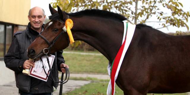 Сдружение eздови клуб - Силвена спорт, град Русе | Спортни клубове, дружества и федерации - снимка 2