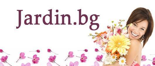 Жардин ЕООД - град Бургас | Услуги