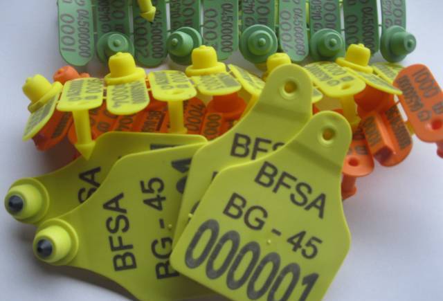 Верона 07 ЕООД - ушни марки, city of Veliko Tarnovo | Animals Growing and Slaughterhouse - снимка 1