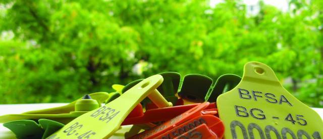 Верона 07 ЕООД - ушни марки, city of Veliko Tarnovo | Animals Growing and Slaughterhouse - снимка 3