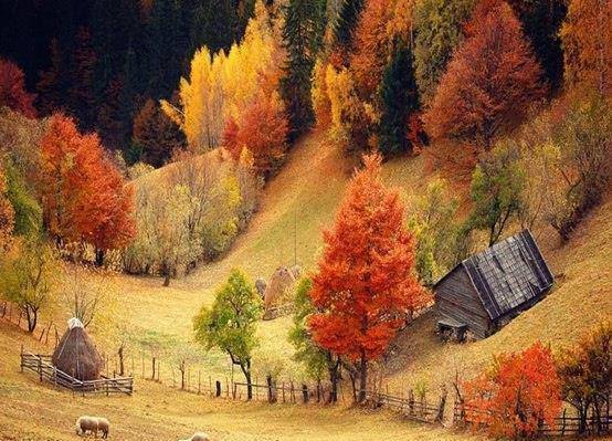 МатуреАрт Ателие - град Пловдив | Художници - снимка 1