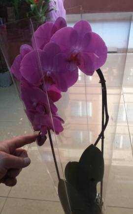 Уливеров Трейд"ЕООД - град София | Бутици - снимка 2