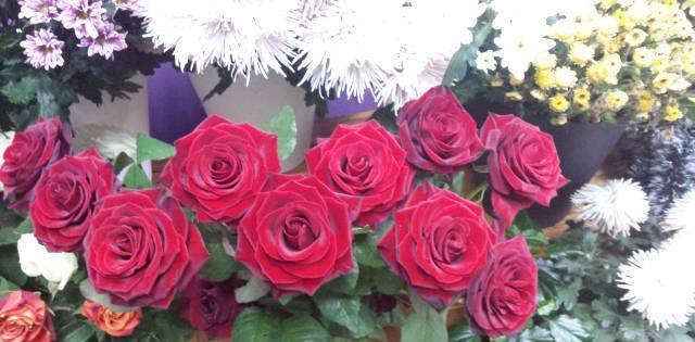 Уливеров Трейд"ЕООД - град София | Бутици - снимка 3