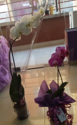 Уливеров Трейд"ЕООД - град София | Бутици - снимка 4