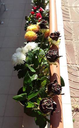 Уливеров Трейд"ЕООД - град София | Бутици - снимка 6