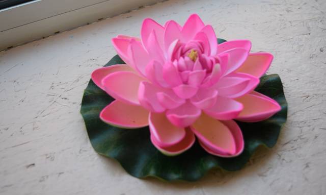 Body-Mind-Spirit , холистичен център, град Варна | Алтернативна и източна медицина - снимка 4