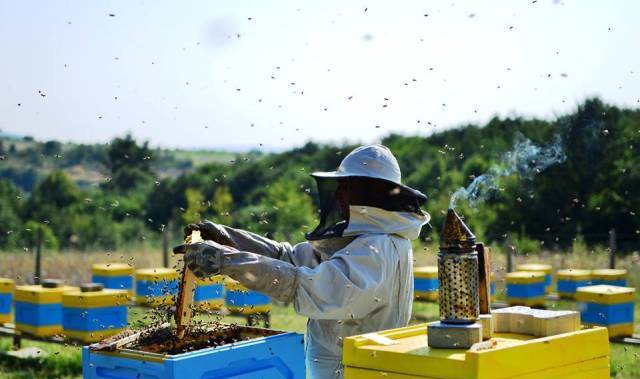 Матеев АД - град София | Други услуги и продукти - снимка 1