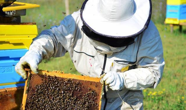 Матеев АД - град София | Други услуги и продукти - снимка 2