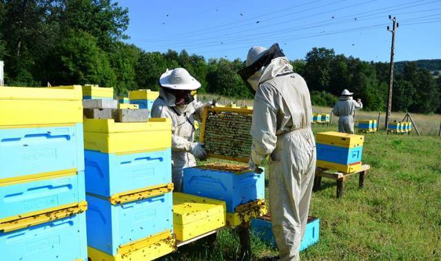 Матеев АД - град София | Други услуги и продукти - снимка 3