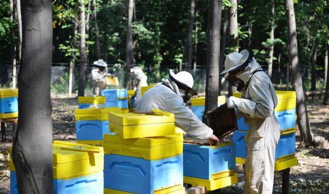 Матеев АД - град София | Други услуги и продукти - снимка 4