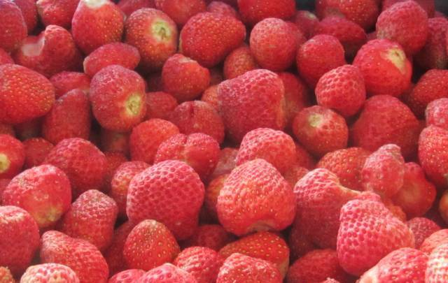 Балкан Био Фрукт ООД - град Ловеч | Плодове и зеленчуци - снимка 2