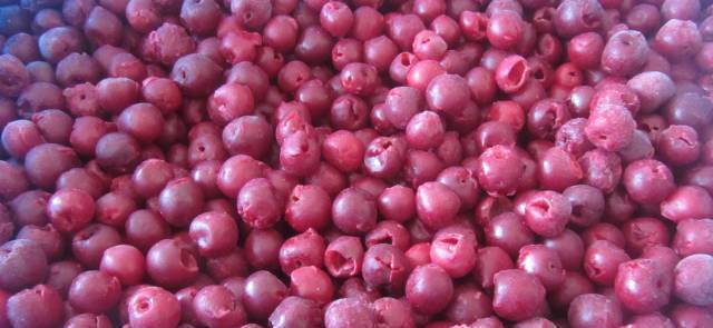 Балкан Био Фрукт ООД - град Ловеч | Плодове и зеленчуци - снимка 3