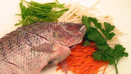 Tilapia Fish Company - град Варна | Риболов и рибовъдство - снимка 1