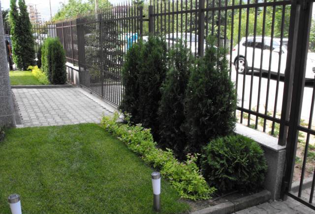 Евъргрийн Дизайн ЕООД - град София | Ландшафт и озеленяване - снимка 3