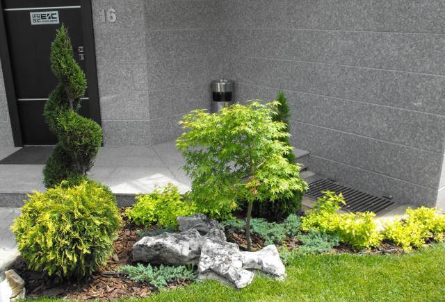 Евъргрийн Дизайн ЕООД - град София | Ландшафт и озеленяване - снимка 4