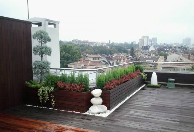 Евъргрийн Дизайн ЕООД - град София | Ландшафт и озеленяване - снимка 5