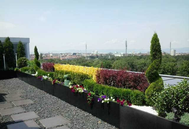 Евъргрийн Дизайн ЕООД - град София | Ландшафт и озеленяване - снимка 6