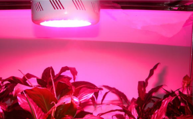 Guangzhou L-M Industry Limited, село Габърница | Оборудване, машини и инструменти - снимка 1