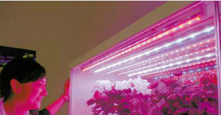 Guangzhou L-M Industry Limited, село Габърница | Оборудване, машини и инструменти - снимка 3