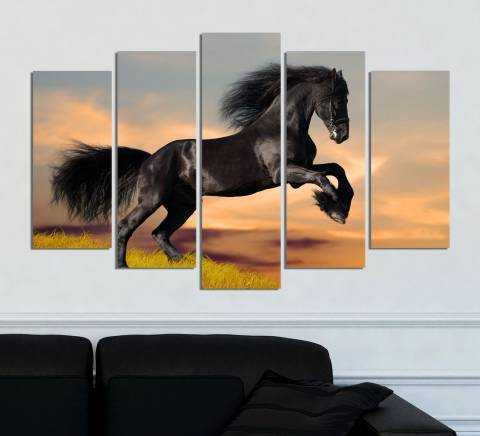 Вивид Трейд ЕООД - град София | Други услуги и продукти - снимка 2